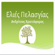 /customerDocs/images/avatars/23777/23777-ΕΠΕΞΕΡΓΑΣΙΑ ΕΛΙΑΣ-ΕΜΠΟΡΙΟ ΕΛΙΑΣ-ΕΜΠΟΡΙΟ ΕΛΑΙΟΛΑΔΟΥ-ΤΥΠΟΠΟΙΗΣΗ-ΑΝΔΡΙΤΣΟΣ-ΠΕΛΑΣΓΙΑ-LOGO.png